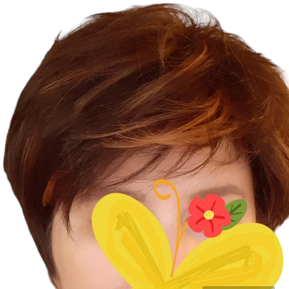 New no tag Wig,pixie, brown with few highlights